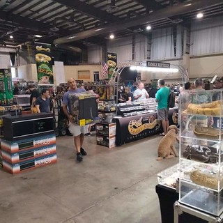 Reptile Show Florida 2023 Tampa |