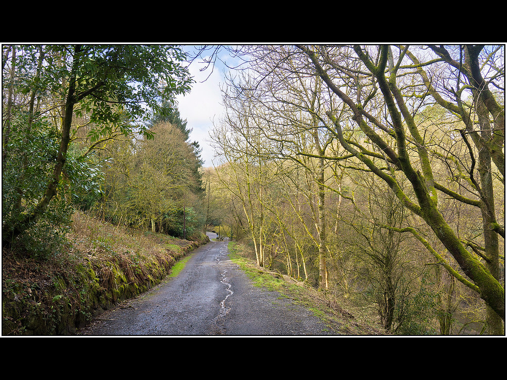 Sunnyhurst Woods Darwen, Lancashire High Noon Flickr
