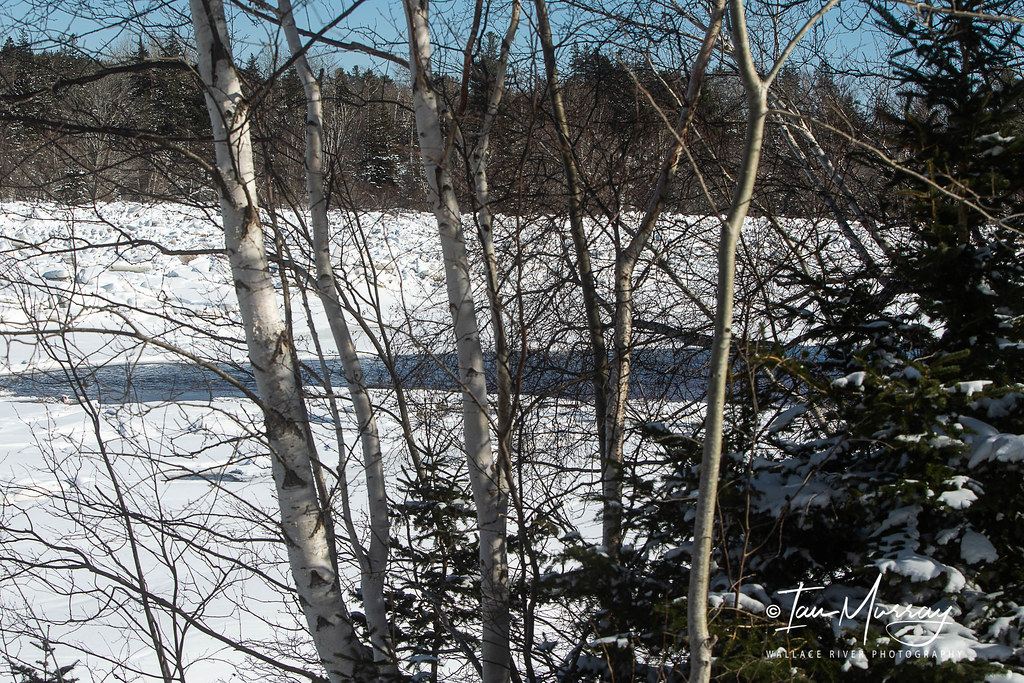 IMG_2188 Wallace River, NS Ian Murray Flickr