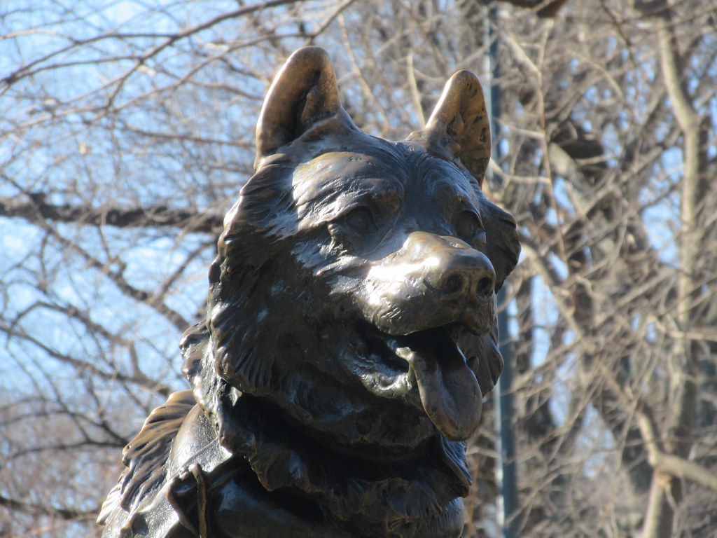 2022 Balto Heroic Sled Dog Sculpture Central Park 4571 Flickr