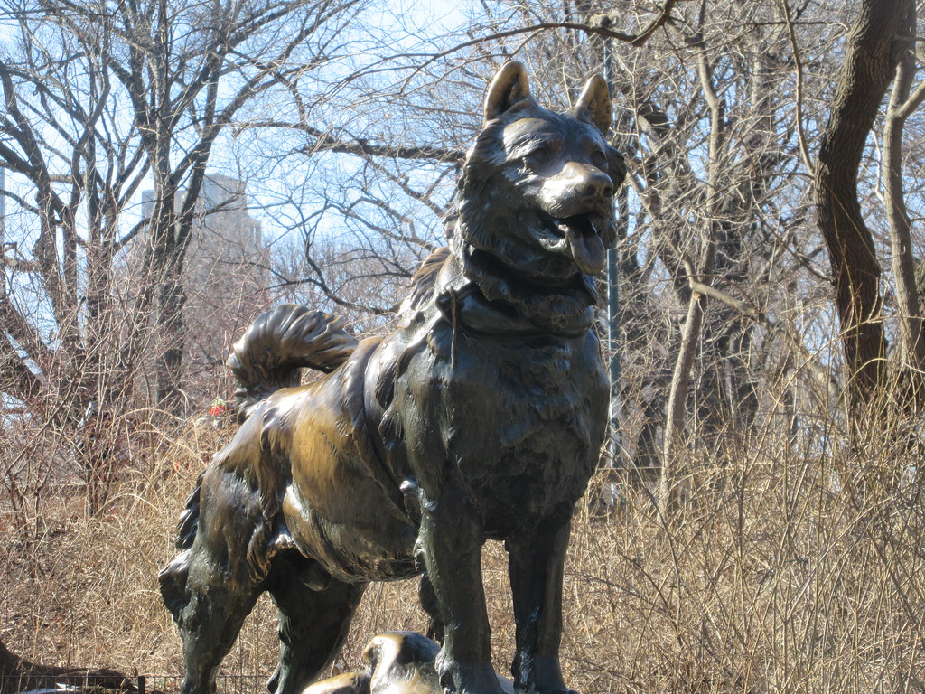 2022 Balto Heroic Sled Dog Sculpture Central Park 4570 Flickr