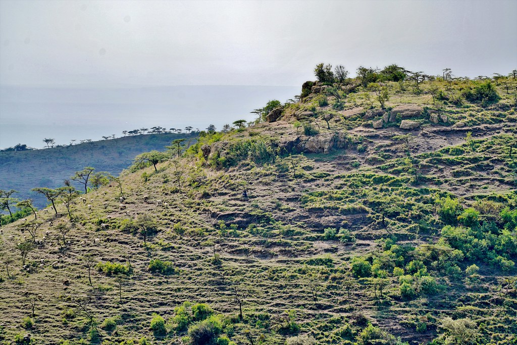 Champagne Ridge, Kenya a photo on Flickriver