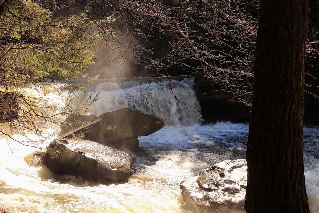 022822 POTTERS FALLS, WARTBURG TN Flickr