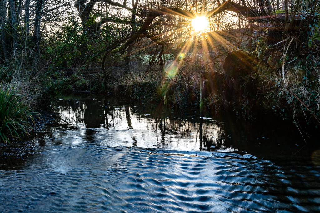 Romsey, Crampmoor, Tadburn Water2 27922022 Andy Louch Flickr