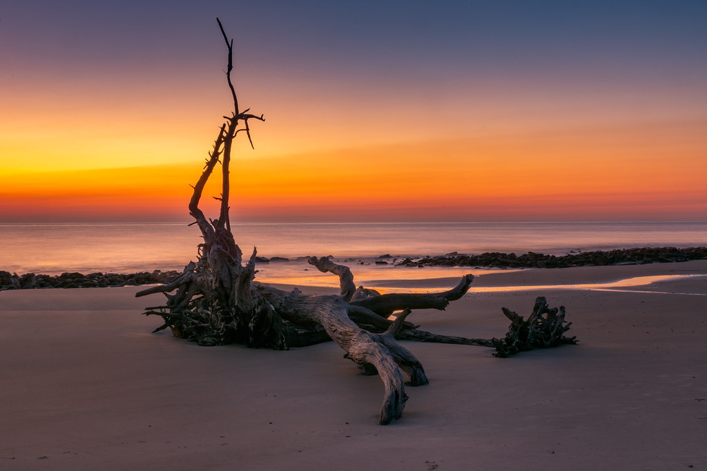 Driftwood Beach A half hour before sunrise at Driftwood Be… Flickr