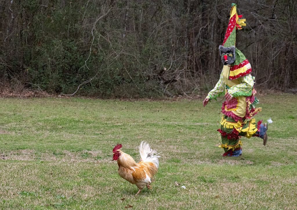 Tee Mamou Women's Mardi Gras Courir, Feb. 26, 2022. These … Flickr