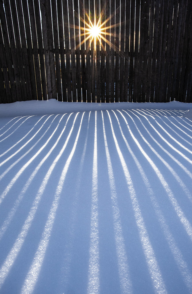 WINTER WALK Despite the loooooong winters here in Vermont,… Flickr