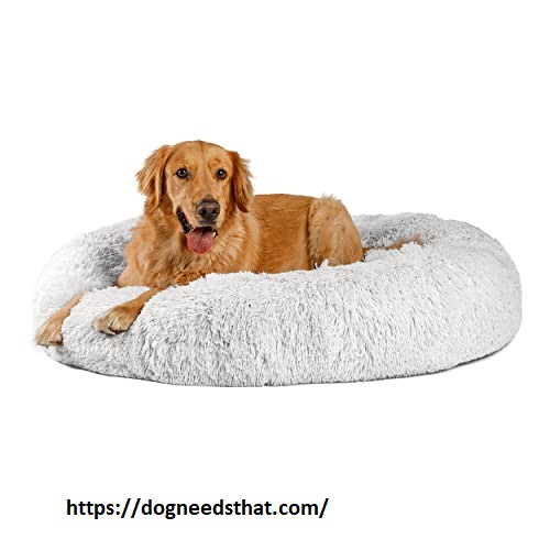 Best Bed For Dogs Review Flickr