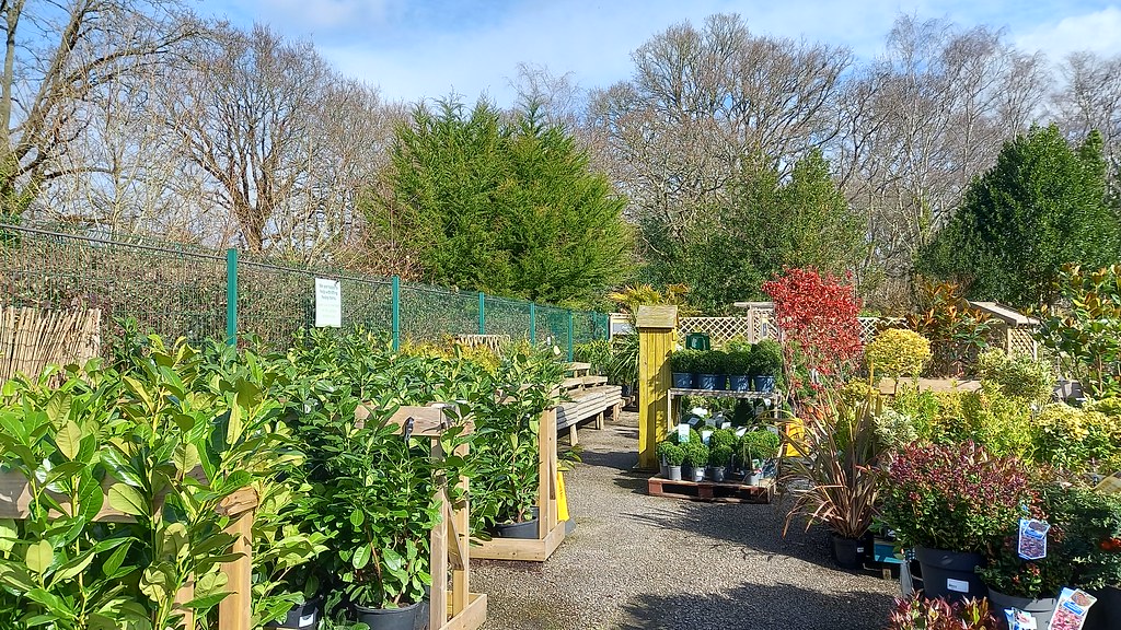 Wimborne Garden Centre Formerly Wyevale Garden Centre unti… Flickr