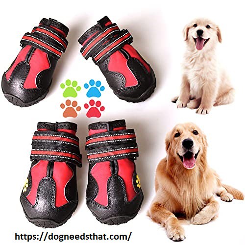 Best Winter Dog Boots Review, Buying Guides & FAQs of 2022… Flickr