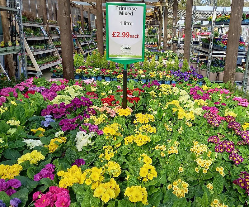Garden Centres Flickr