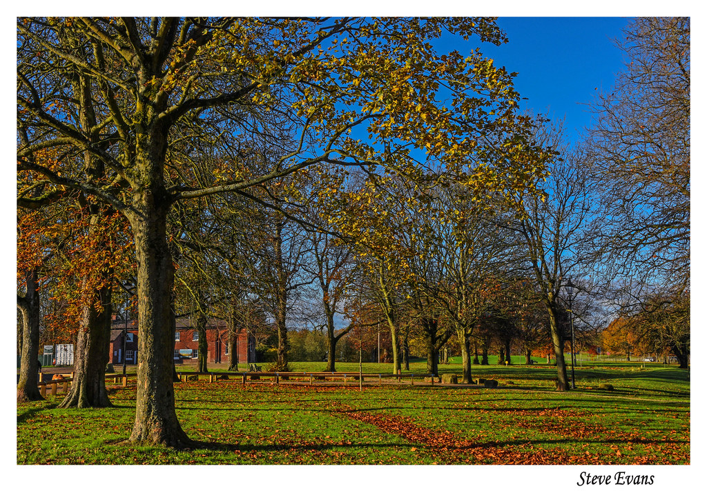Autumn Colour Bowring Park Liverpool nov 2021 coulportste Flickr