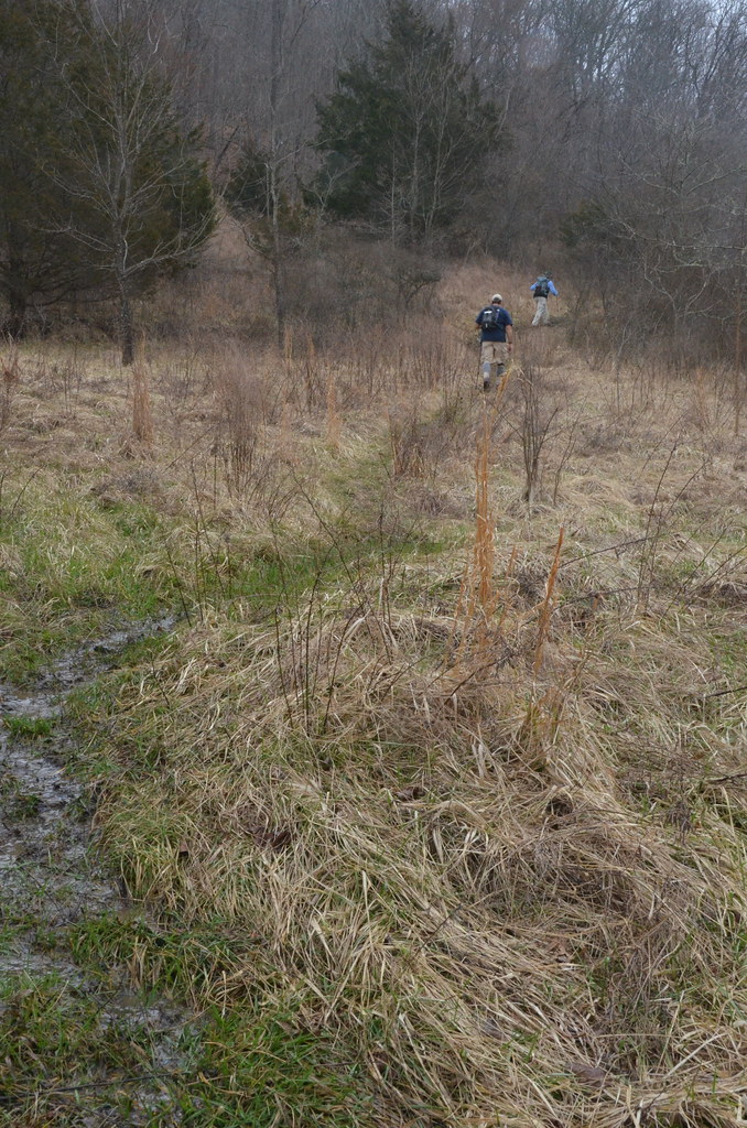 swedencreek_brtboxleywalkermtn116 Return to trailhead … Flickr