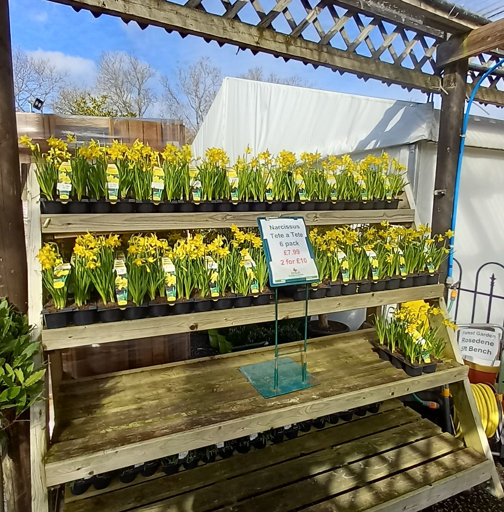 Wimborne Garden Centre Formerly Wyevale Garden Centre unti… Flickr