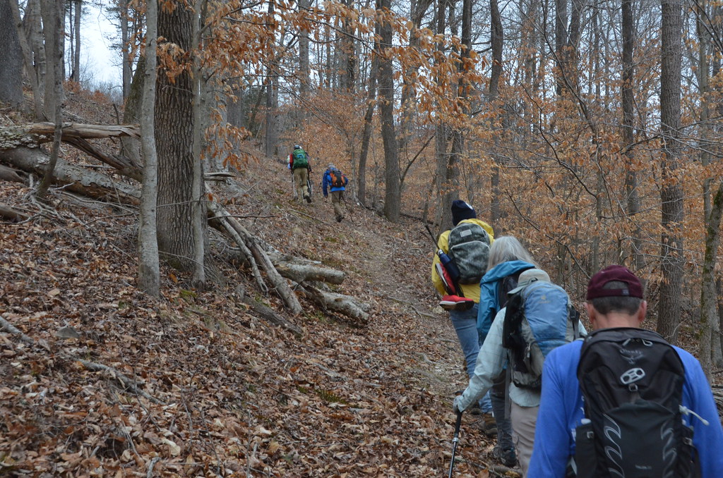 swedencreek_brtboxleywalkermtn094 Begin trail ascent a… Flickr