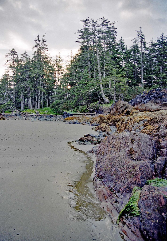 Bonanza Beach wanted to say hello Flickr