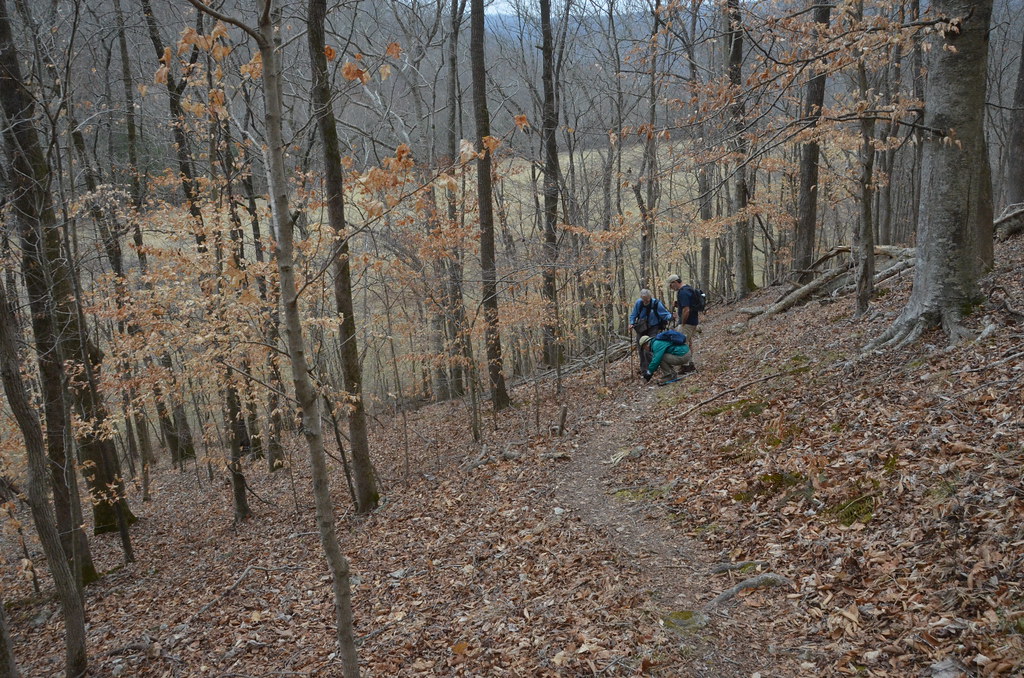 swedencreek_brtboxleywalkermtn095 Begin trail ascent a… Flickr