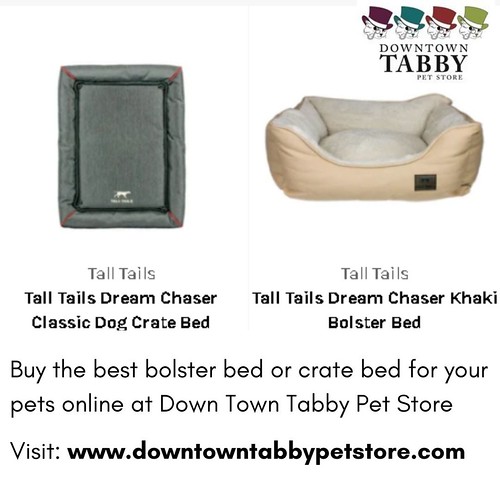 Best Online Pets Store at Down Town Tabby Pet Store Flickr