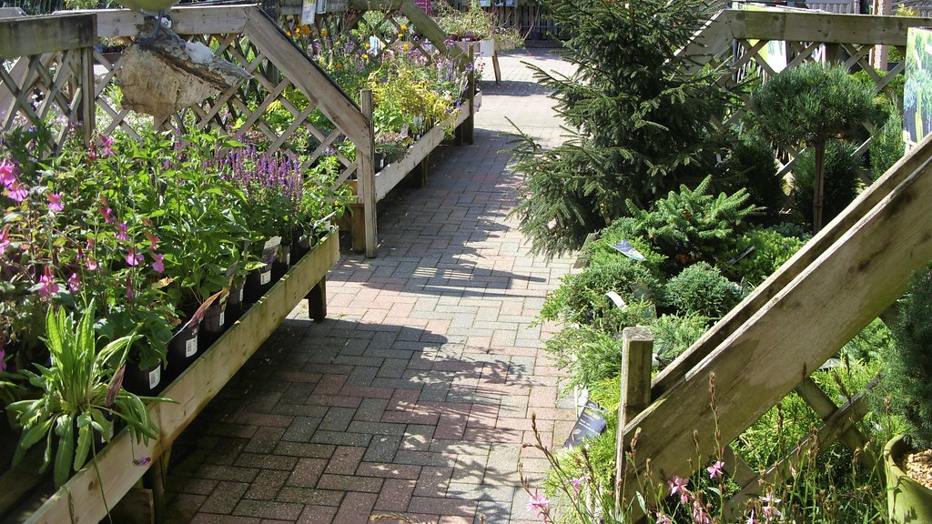 Haskins Garden Centre, Ferndown, Dorset Bournemouth Andy Flickr