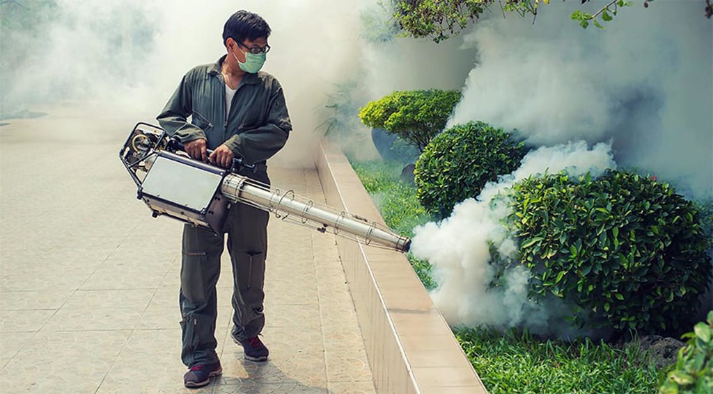 pestcontrolcoimbatore We are ready to eliminate bugs wit… Flickr