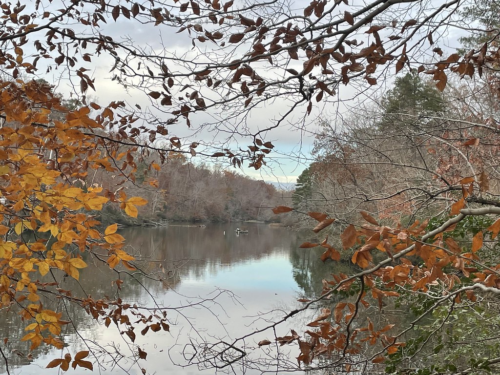 Scenes from the Lake Matoaka trails 2. Photo by Maryclair… Flickr