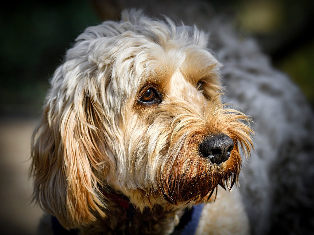 And we gazed upon the chimes of freedom flashing c.marney Flickr