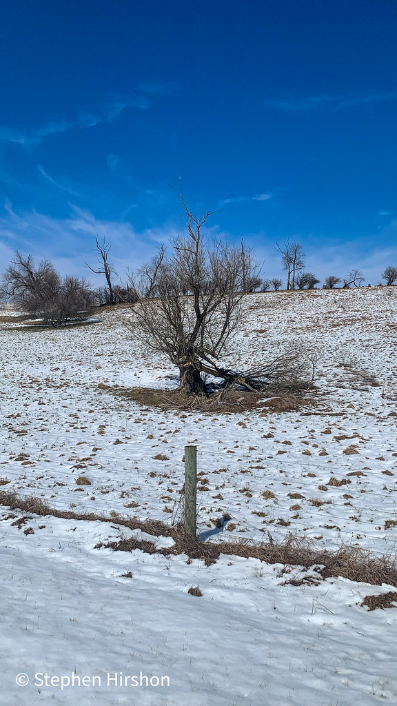 Puddingtown Road, 1, March 10, 2022. Houserville, Pennsylv… Flickr