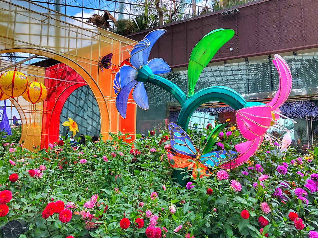 Flowers Dome Flowers Dome cattan2011 Flickr