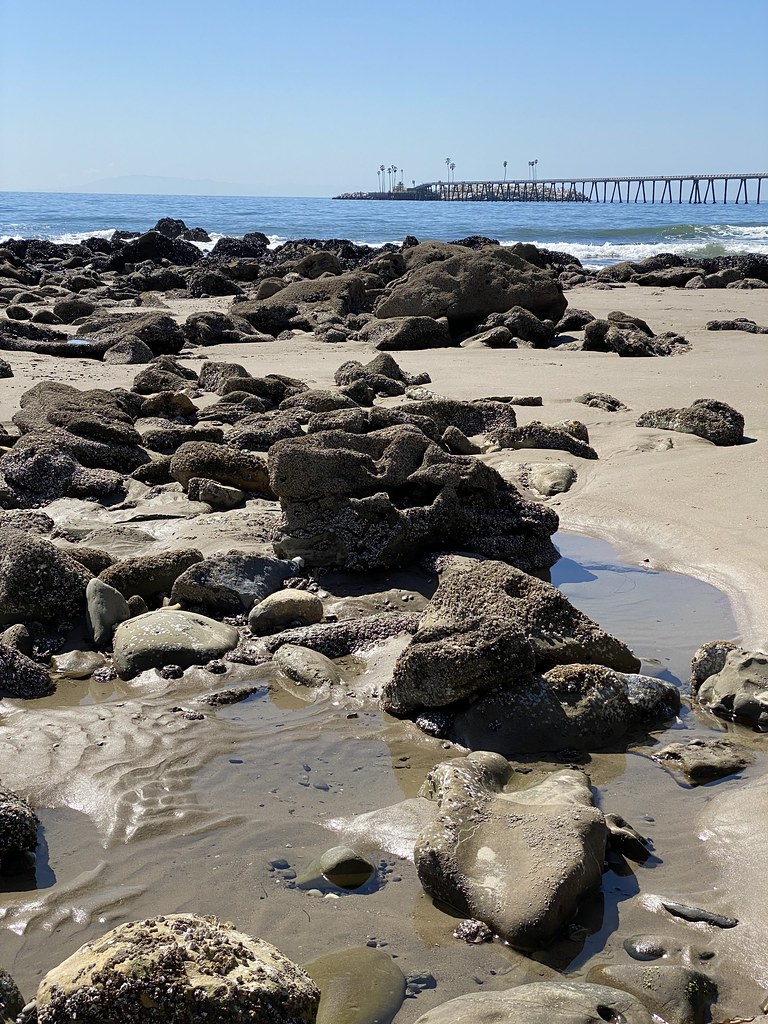 3/9/2022 Happy Place. Mussel Shoals Beach, Ventura, CA. … Flickr