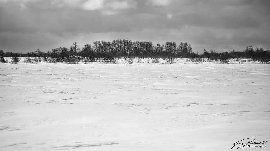 chemin du Roy 5 2022s chemin du Roy (SaintAugustindeDes… Flickr