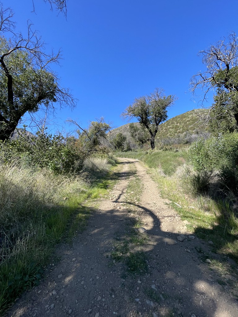 Road 5N13/Murrieta Canyon Antonio Calderon Flickr