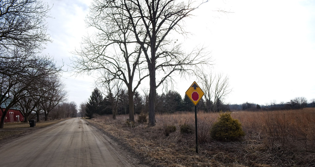 Fisk Road Conifers, 2022 Chamaecyparis pisifera 'Gold Span… Flickr