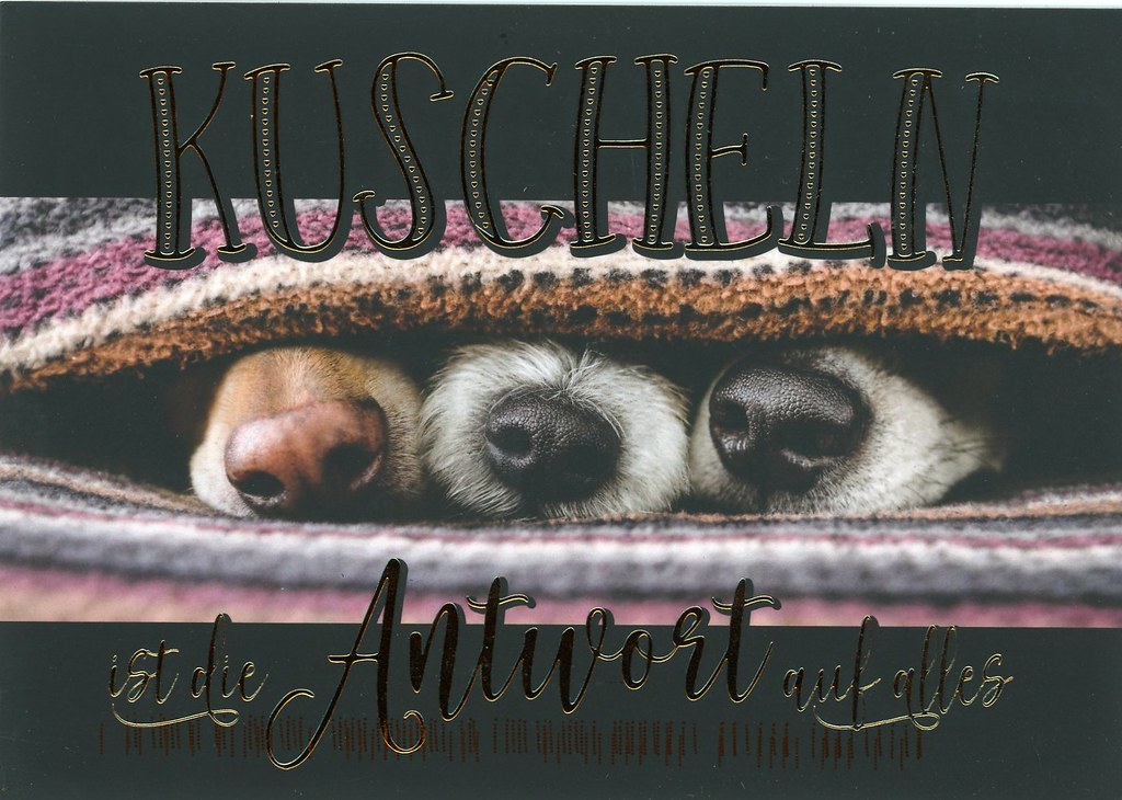 Cuddle is Always the Answer from Germany ellistrations Flickr