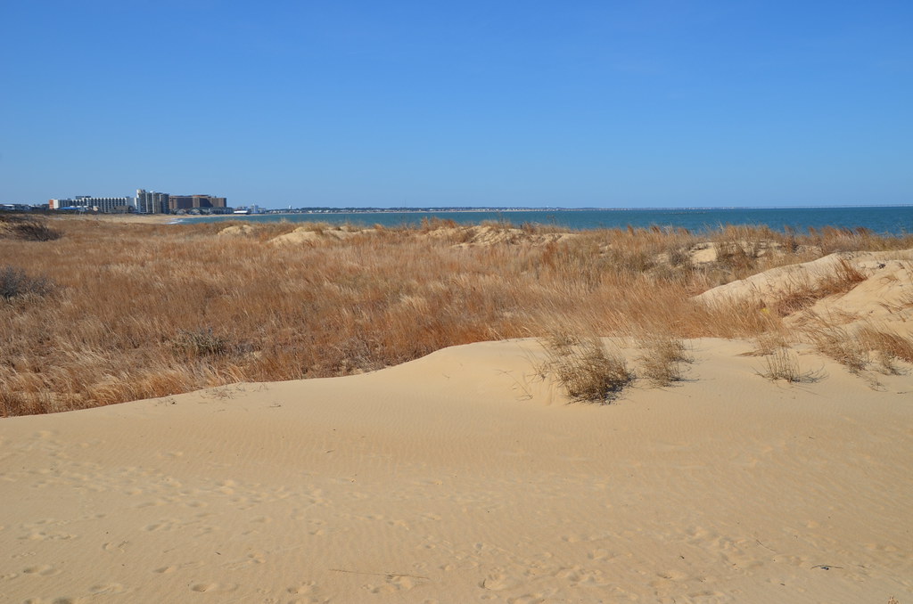 Beach at First Landing State {ark Virginia Beach, Virginia… Flickr