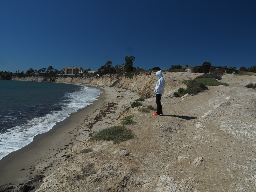 V3068534 ML overlook Goleta beach bluff UCSB in background… Flickr