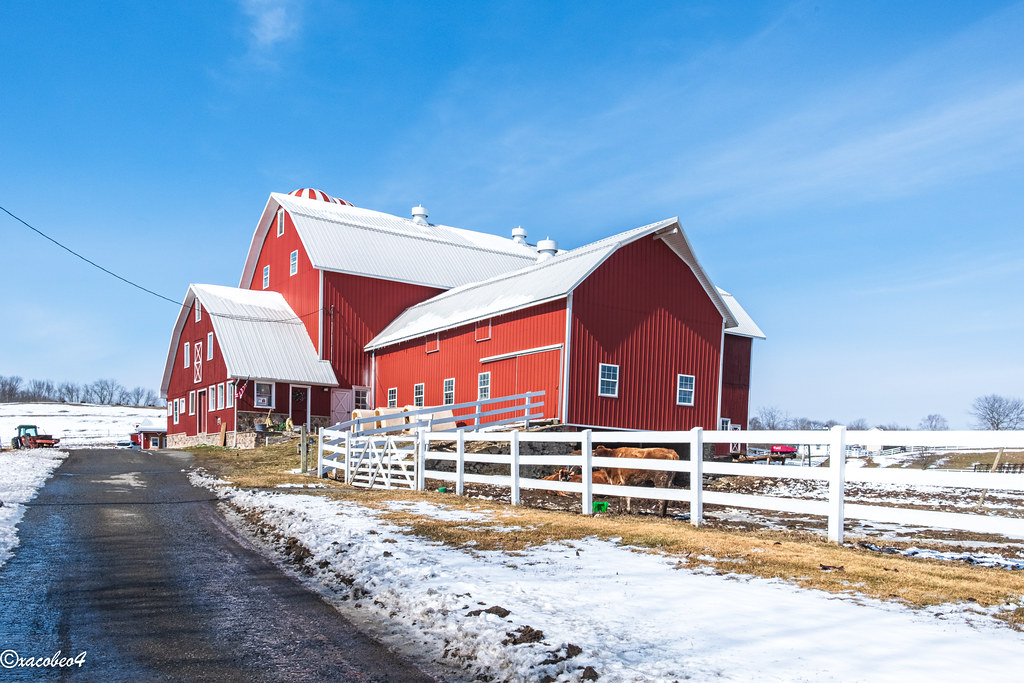 Red Barn, New Jersey dairy farm against a blue sky Flickr