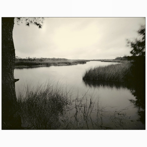 Guerin’s Creek Early Morning Pinhole 4x5 Harman Titan with… Flickr