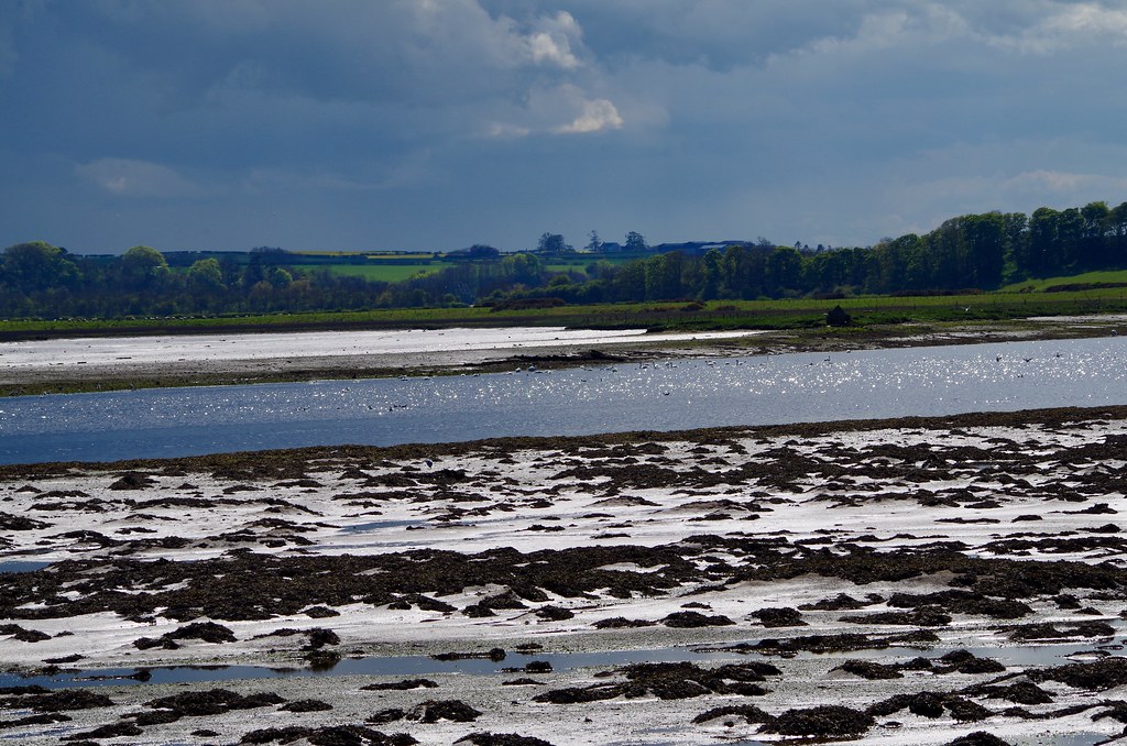 Low tide at Berwick upon Tweed IMGP8175 *alemap*dot*m Flickr