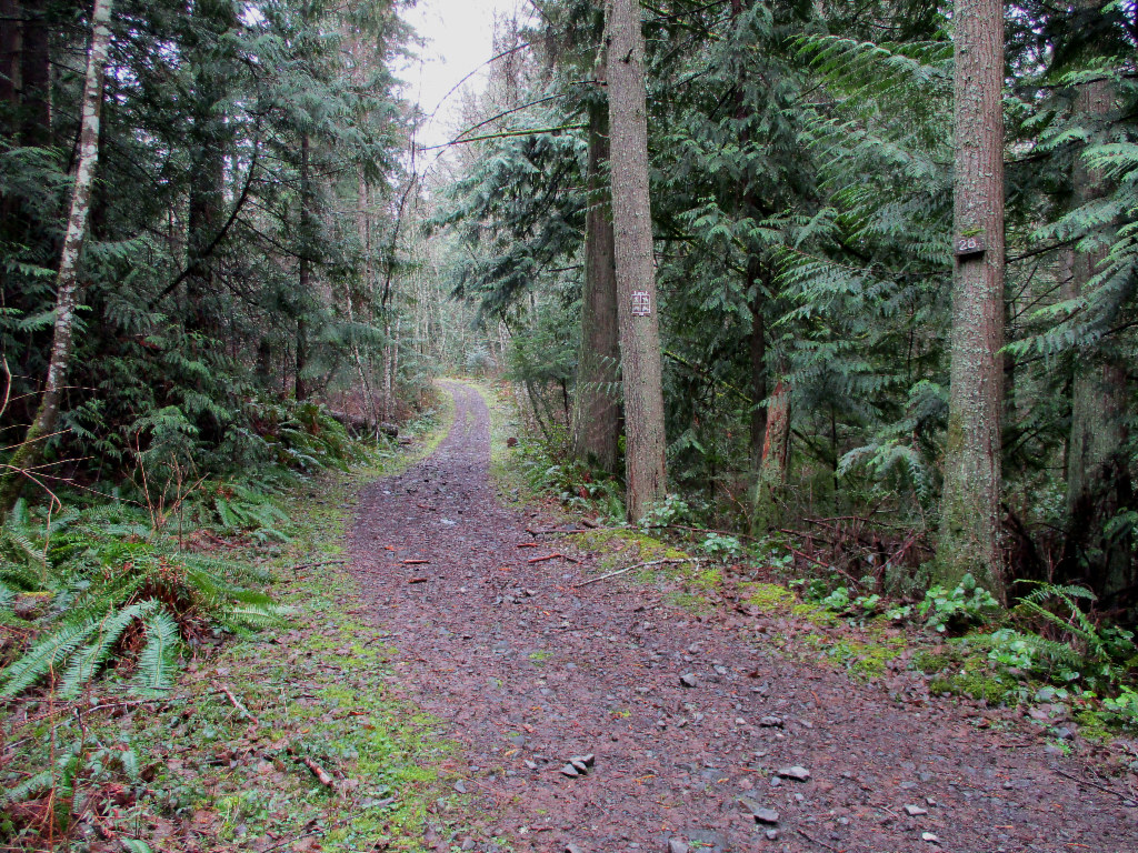 20220318 Whistle Lake Trail 229 (02) (1024x768) Anacorte… Flickr