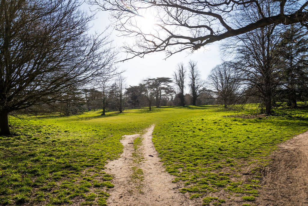 Hardwick Heath Bury St Edmunds 1832022 Martin Pettitt Flickr