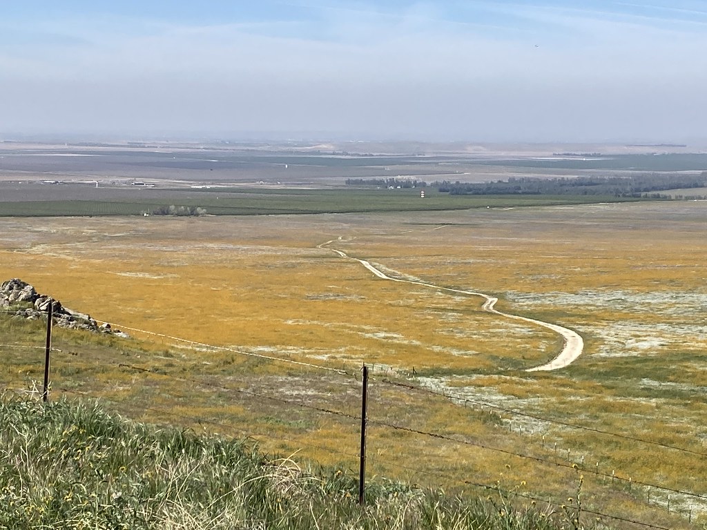 AZ to OR via CA Arvin, CA wildflowers scott185 (the original) Flickr