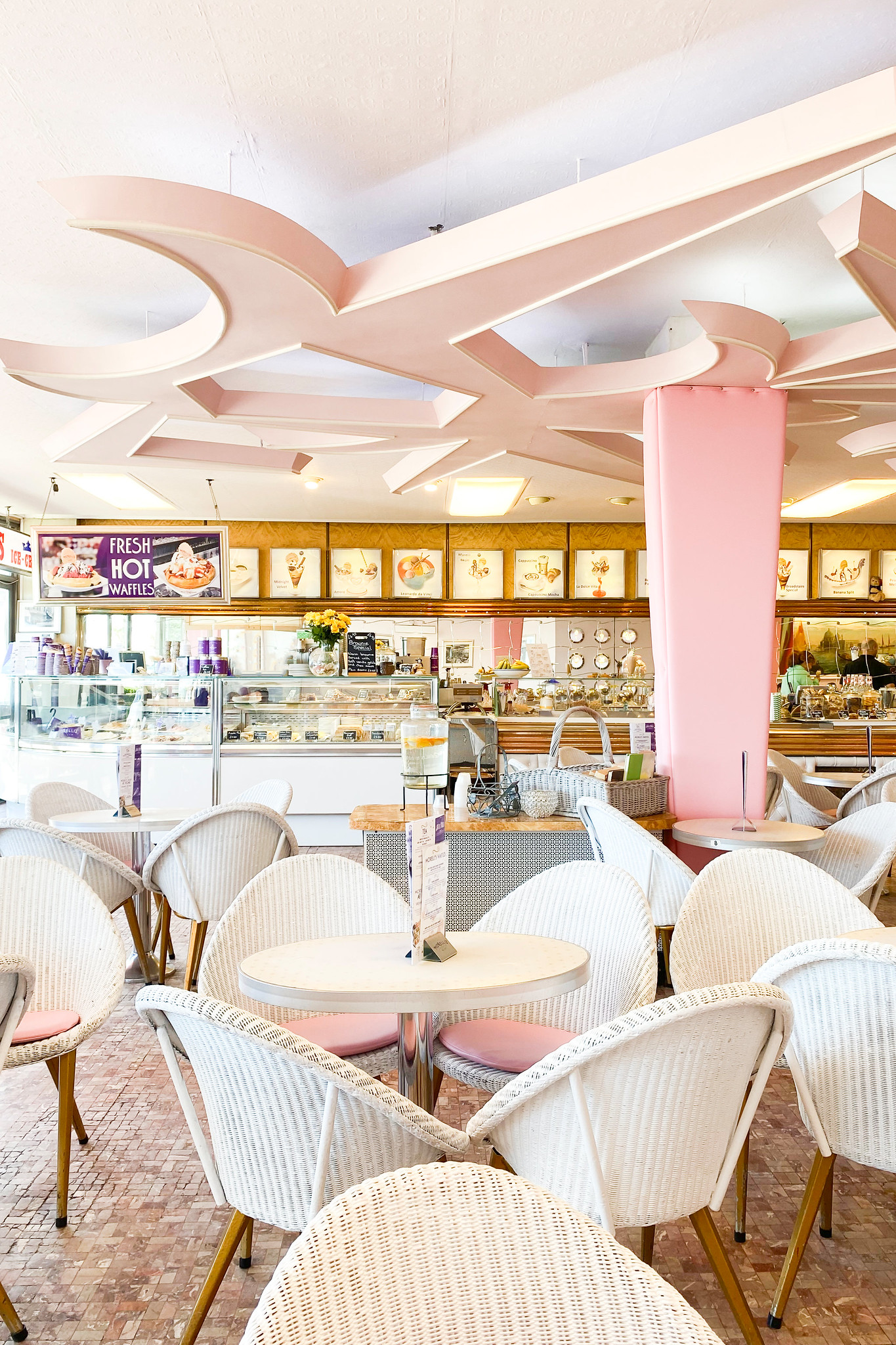 Are Dogs Allowed At Kent Life