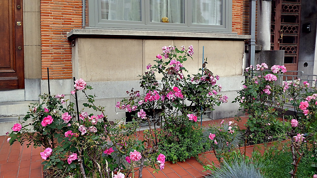 Flowers On Avenue Charles Woeste Stitch IX Ofer Davidi Flickr