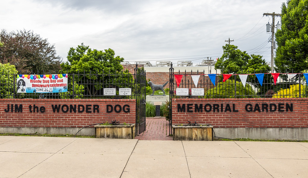 Jim the Wonder Dog Memorial Garden Marshall, Missouri's mo… Flickr