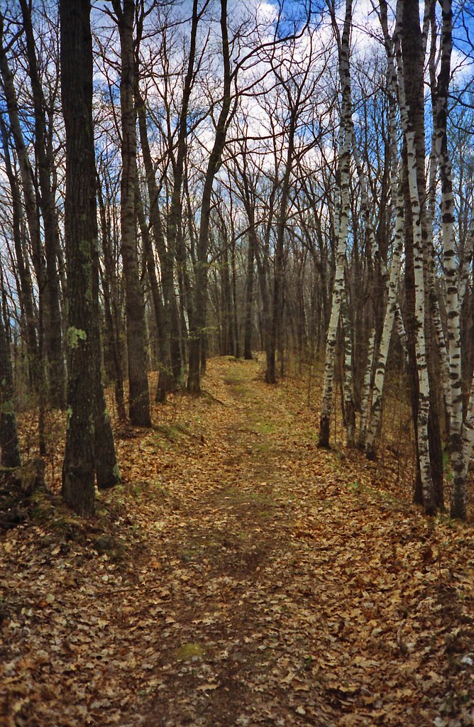 Esker Trail 2 CAMBA Trails, Cable, WI. Trent Schipper Flickr