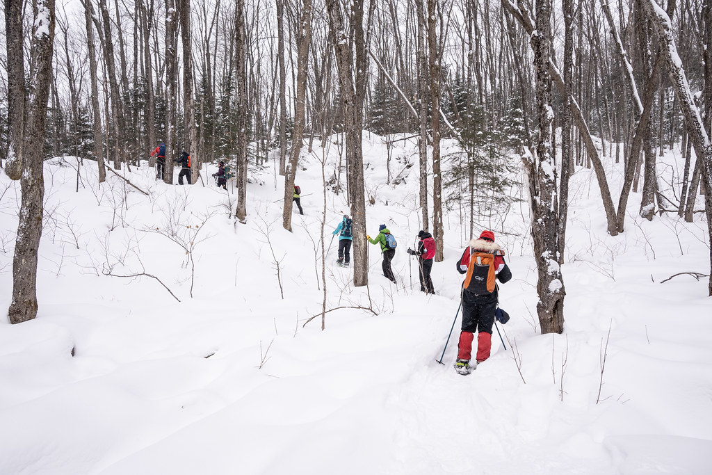 McIntyre Lake Lookout Jan 5 2022 Flickr