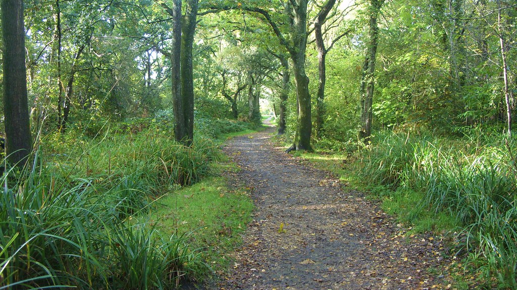 Bourne Bottom (Leading Back to Herbert Avenue), Poole Flickr