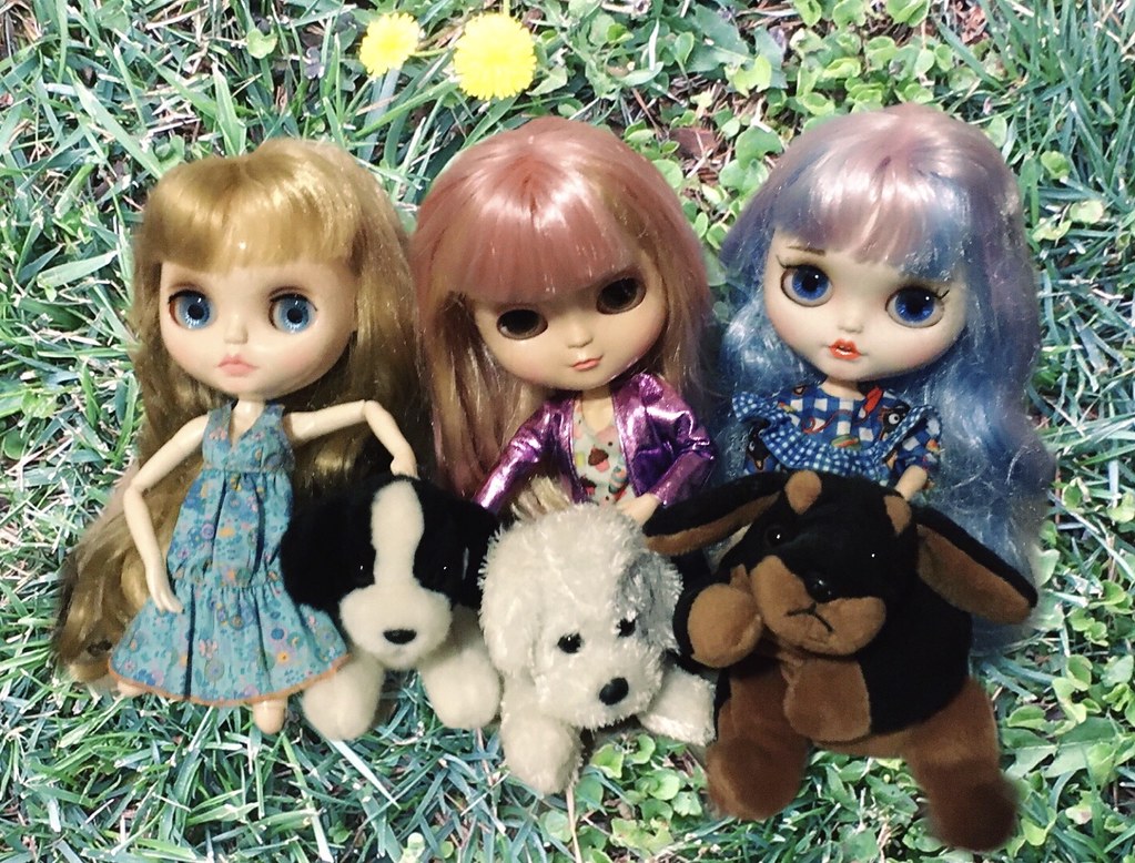 Blythe a Day March 23Adopt a Dog💖🐶 Brigette, Cherry, an… Flickr