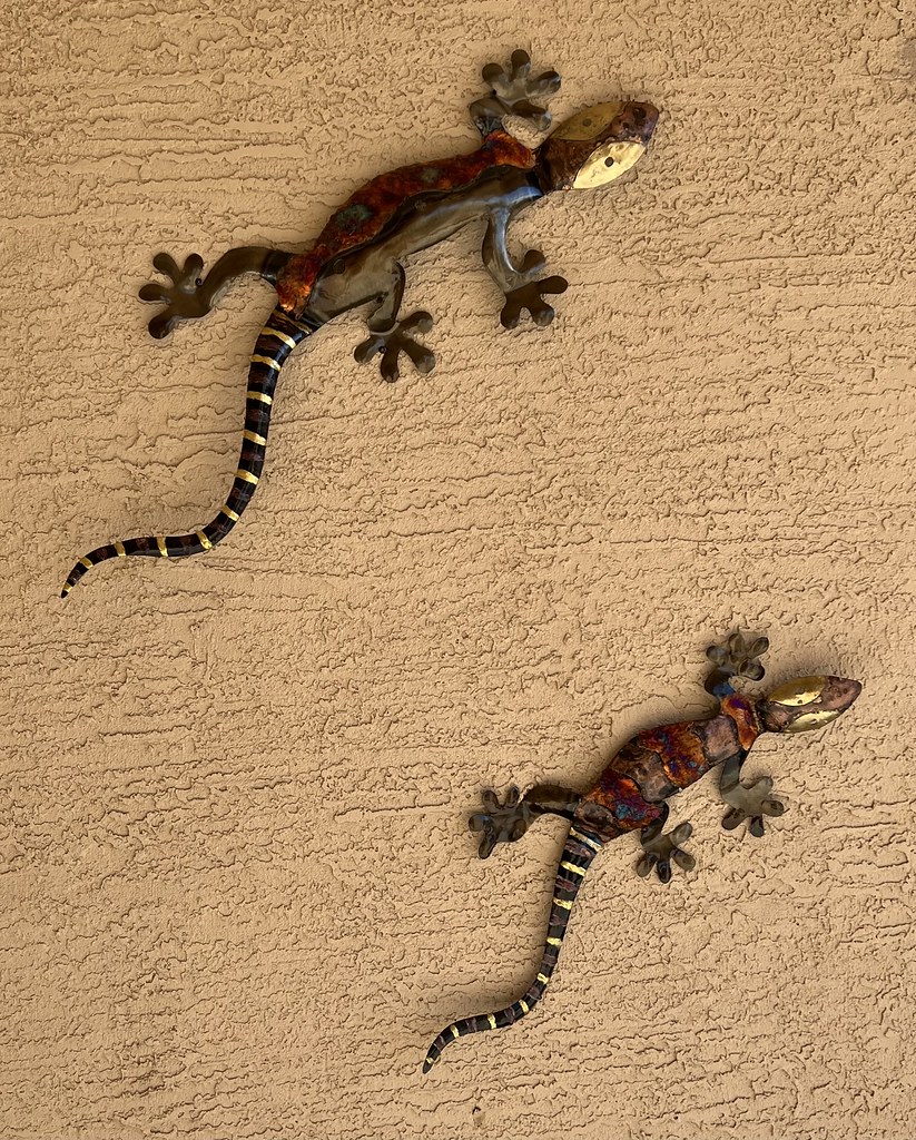 Outdoor Copper Lizards Wall Art Carla Putnam Flickr