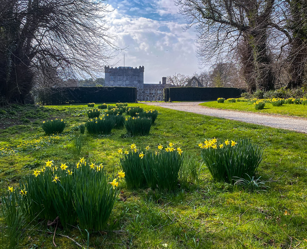 Daffodil Carpet Every spring the daffodils put on a displa… Flickr